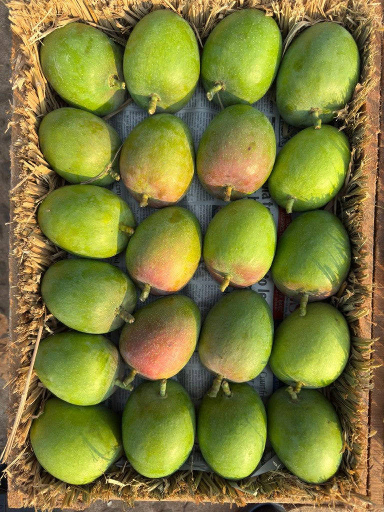Alphonso Mangoes - Grade A2 (Dozen) - Image 3